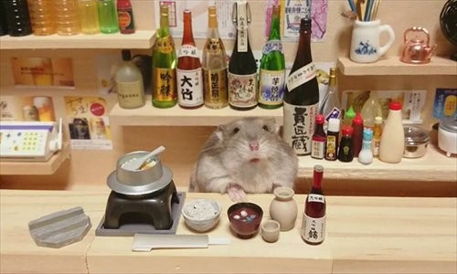 Kosuke Sato, nhiếp ảnh gia nghiệp dư người Nhật, đã thiết kế mini-bar cho những chú chuột Hamster cưng của mình.